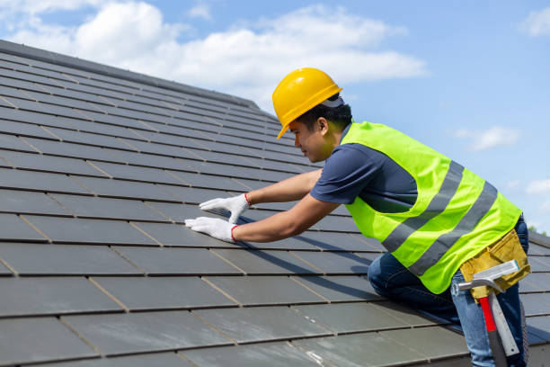 Best Roof Moss and Algae Removal  in West Odessa, TX